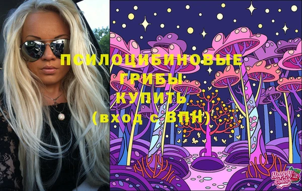 первитин Армянск