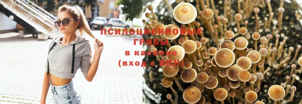 первитин Армянск