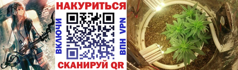 МАРИХУАНА THC 21% Купить закладки Балтийск